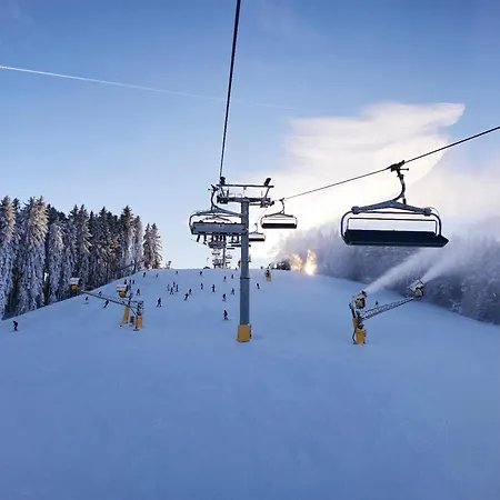 Fuchsbau Mit Kamin & Terrasse & Garten *