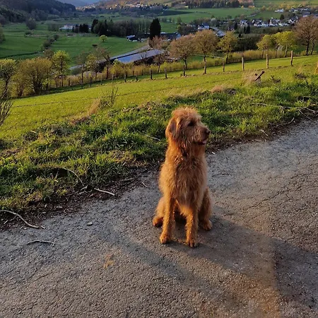Fuchsbau Mit Kamin & Terrasse & Hunde Apartment Winterberg