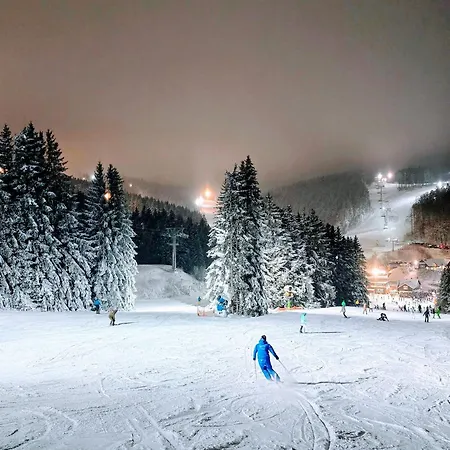 Appartamento Fuchsbau Mit Kamin & Terrasse & Garten