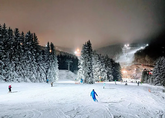 Apartamento Fuchsbau Mit Kamin & Terrasse & Garten